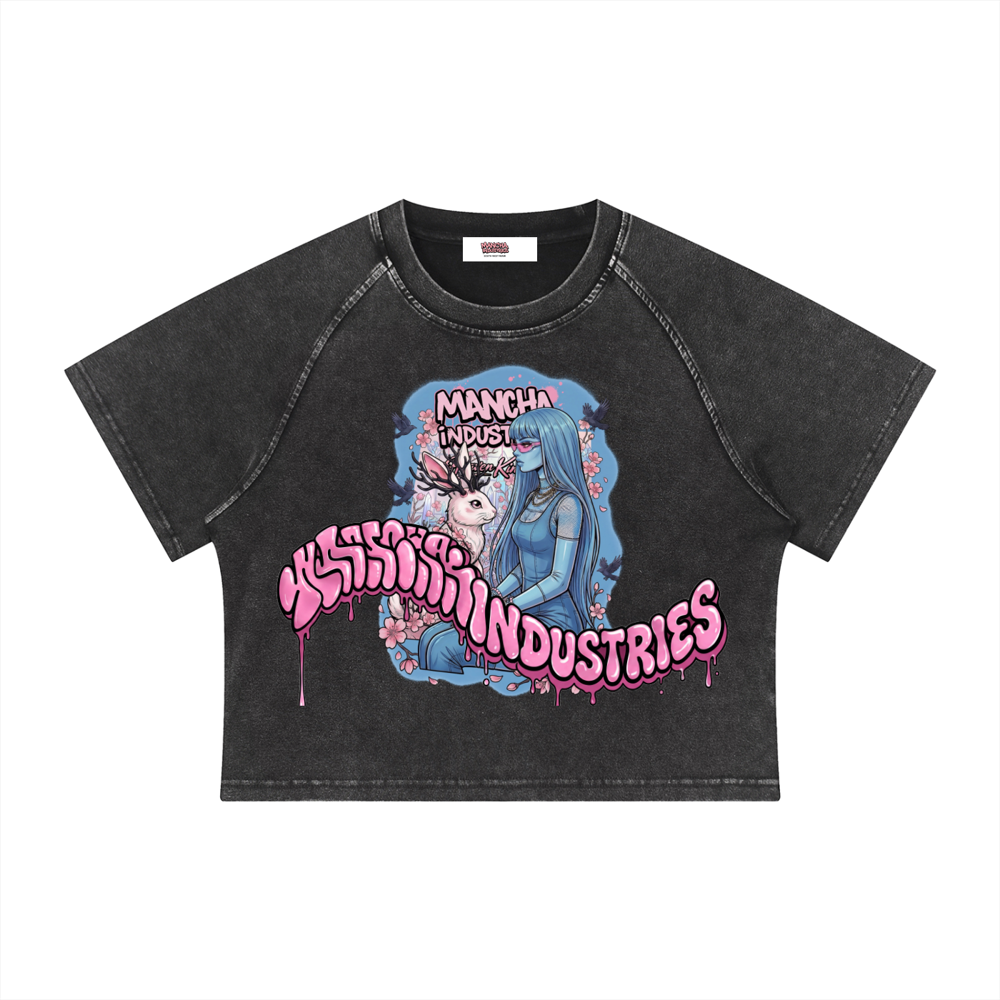 Women's Mineral Wash Raglan Crop T-Shirt